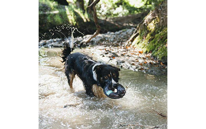 ZippyPaws - Floaterz, Outdoor Floating Squeaker Dog Toy - Shark, Blue