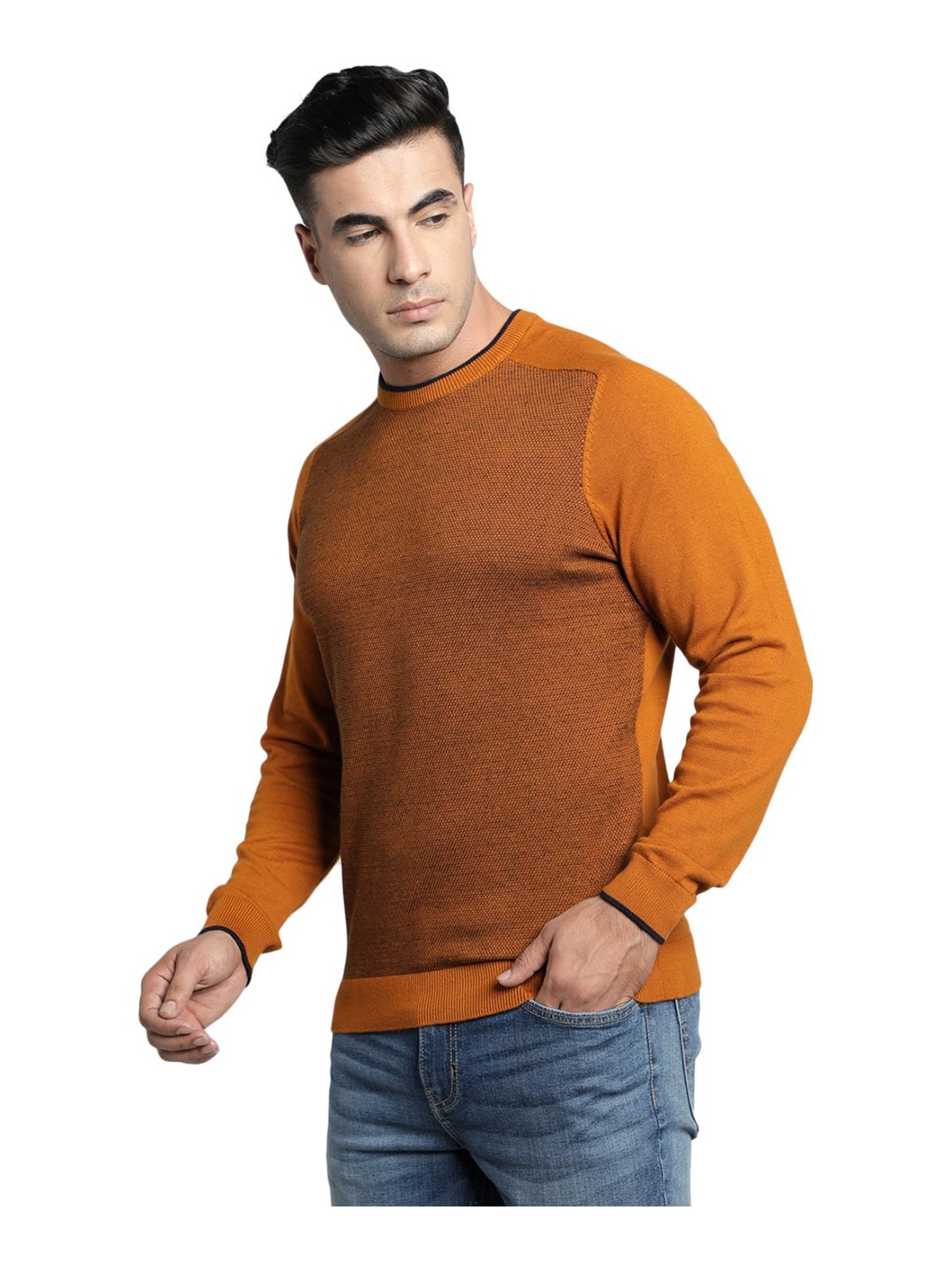 Red Tape Tan Round Neck Sweater
