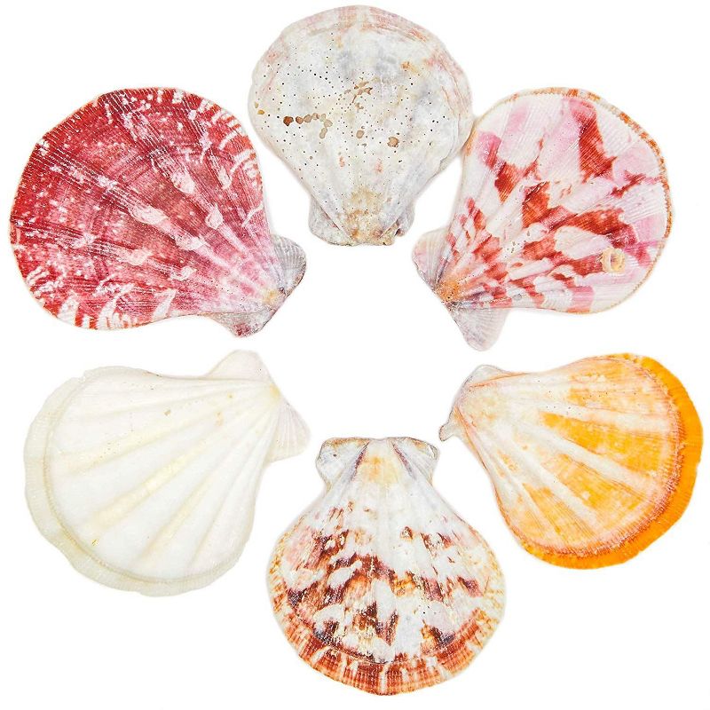 Bright Creations White Pearl Beads Chain Trim Roll for Wedding Garland, DIY Crafts, 0.31 in. x 65 ft