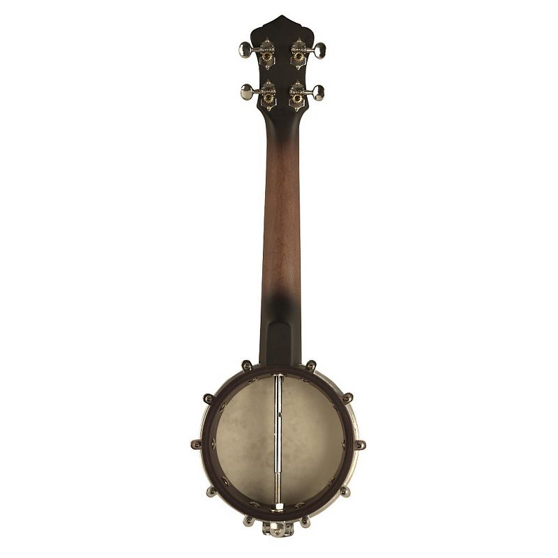 Recording King U25 Banjolele