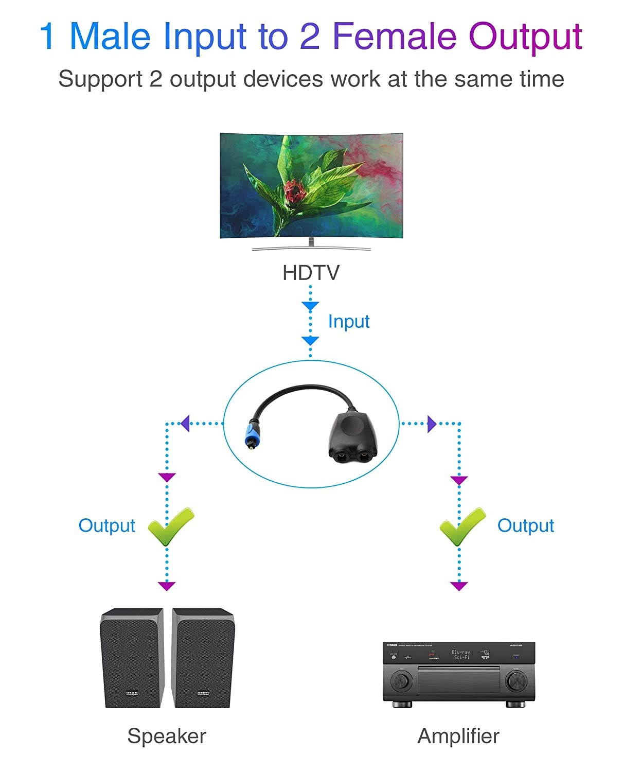 BlueRigger 1x2 Toslink splitter with 25FT Toslink Cable - 1 Male Input 2 Female Output - with 24K Gold Plated Connectors (Digital Optical Audio Cable in-Wall CL3 Rated for Home Theatre Xbox Playst