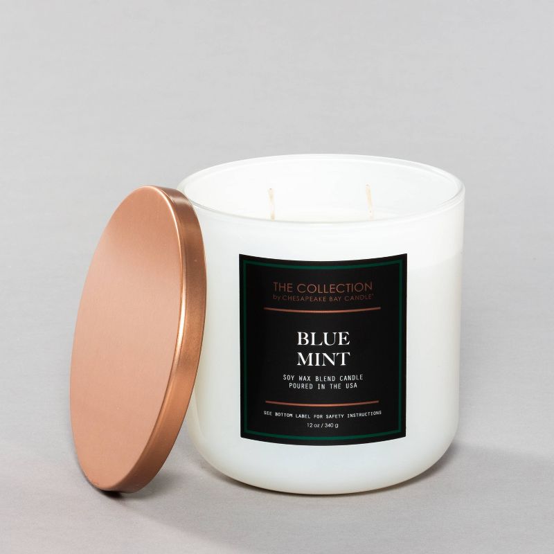 12oz Core Jar 2-Wick Candle Blue Mint - Chesapeake Bay Candle