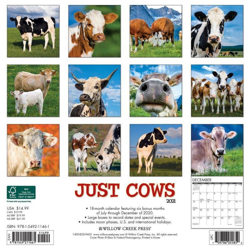 Just Cows 2021 Wall Calendar