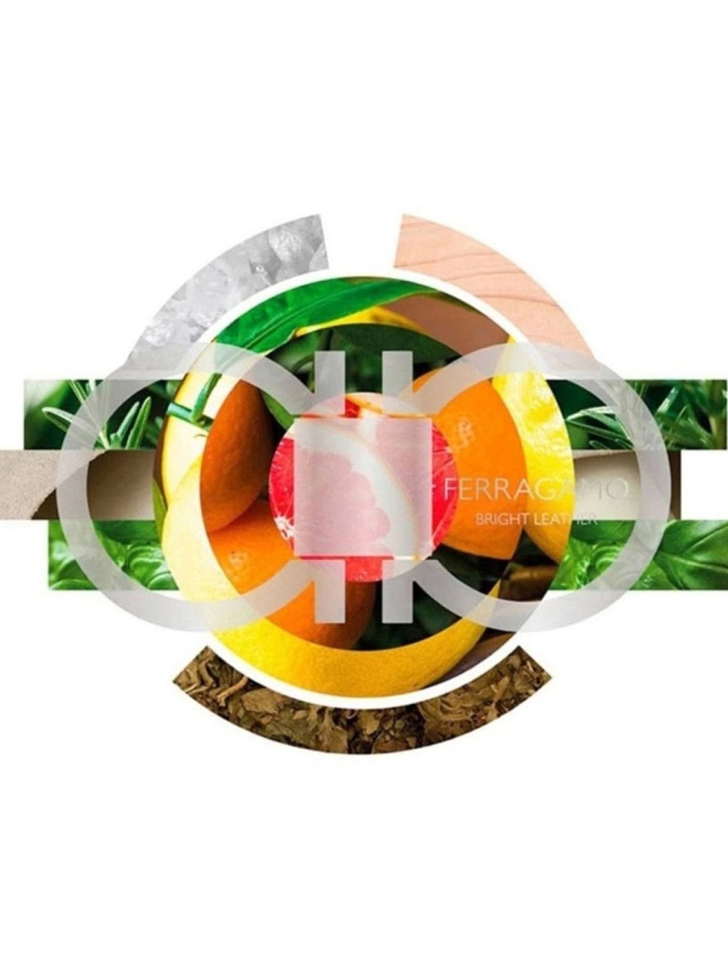 Salvatore Ferragamo Bright Leather Men Eau de Toilette 100 ml