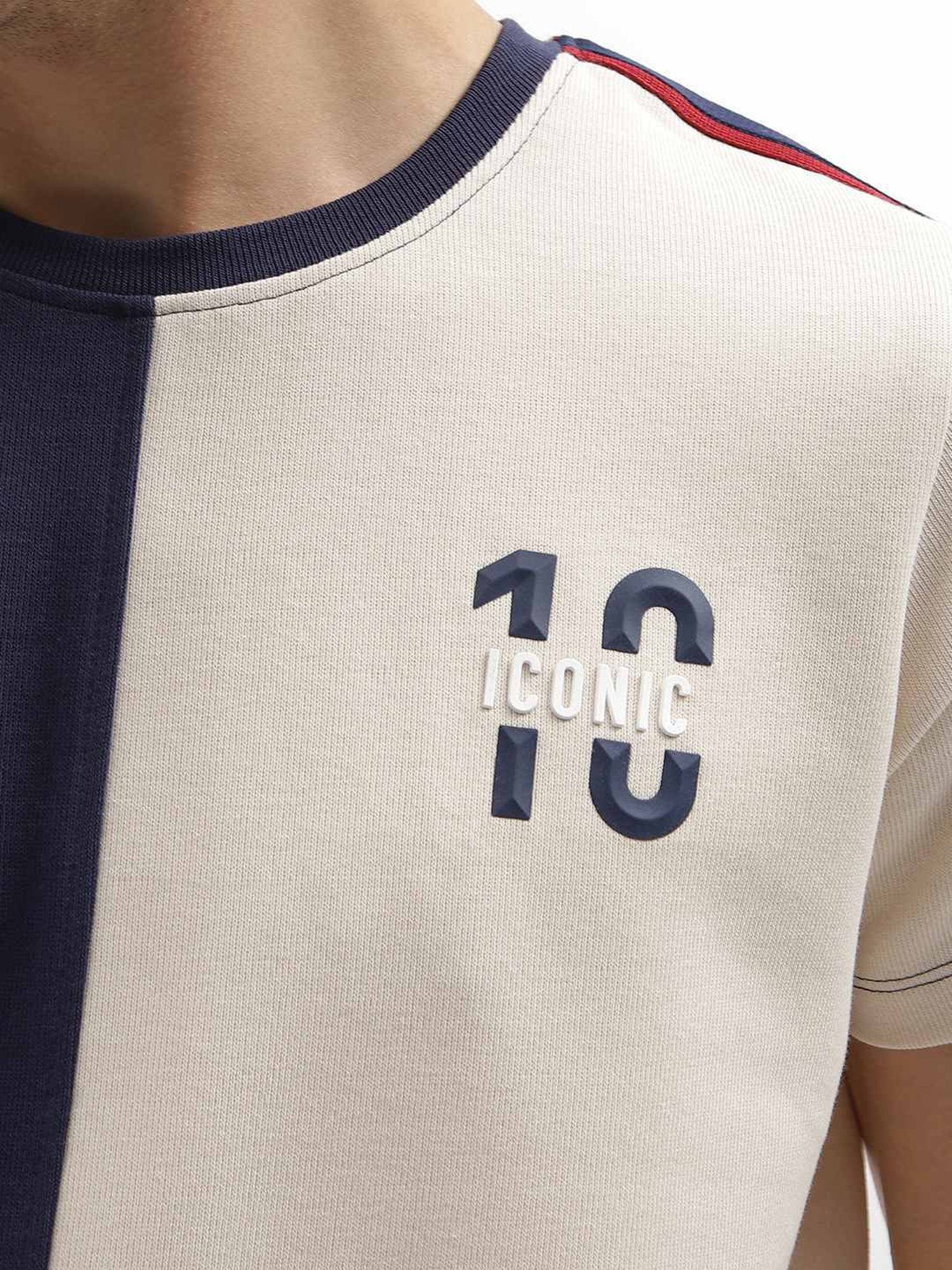 Iconic Men Colourblocked Regular Fit Cotton T-shirt