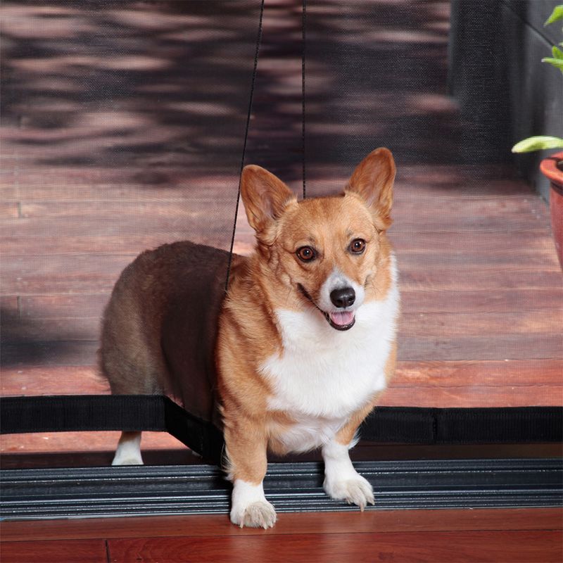 Quick Shade Weekender Elite 10 x 10 Foot Slant Leg Durable Pop Up Canopy, White