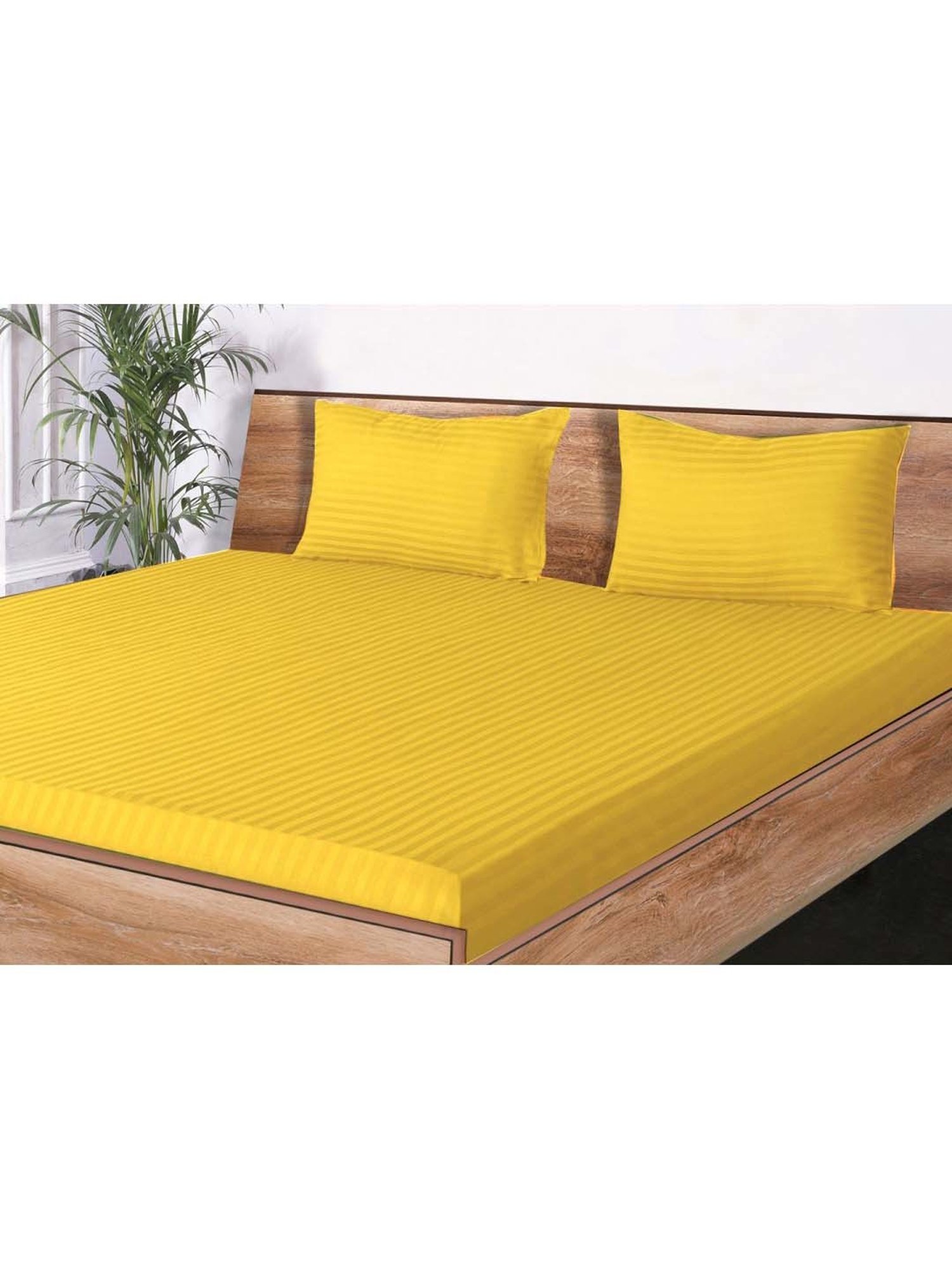 Mark Home Classic Mustard Cotton 210 TC King Bedsheet with 2 Pillow Covers