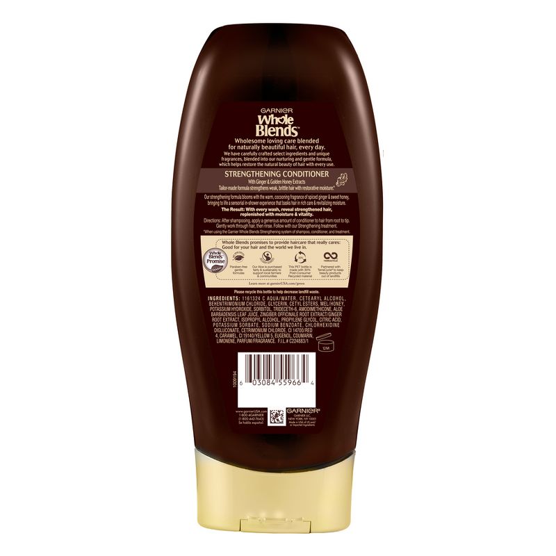 Garnier Whole Blends Ginger Recovery Strengthening Conditioner - 12.5 fl oz