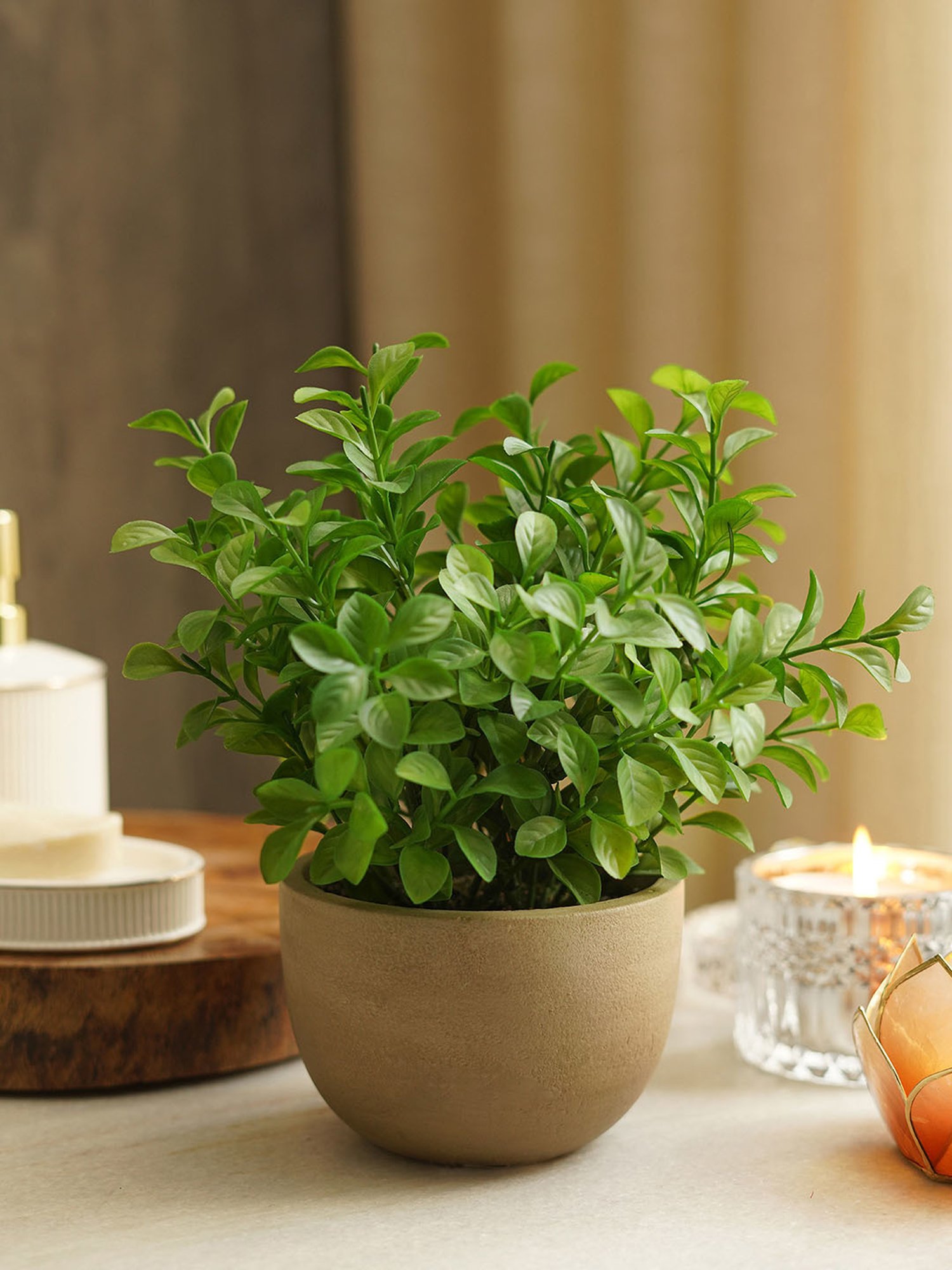 Pure Home and Living Green Plastic Potted Plants