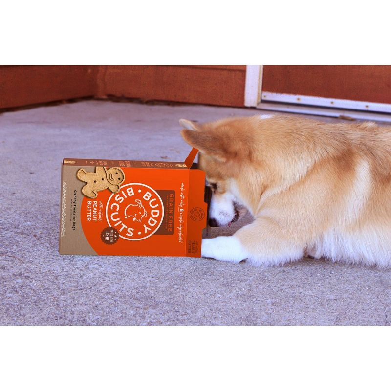 Buddy Biscuits Grain-Free Oven baked Treats with Peanut Butter Dry Dog Treats - 14oz