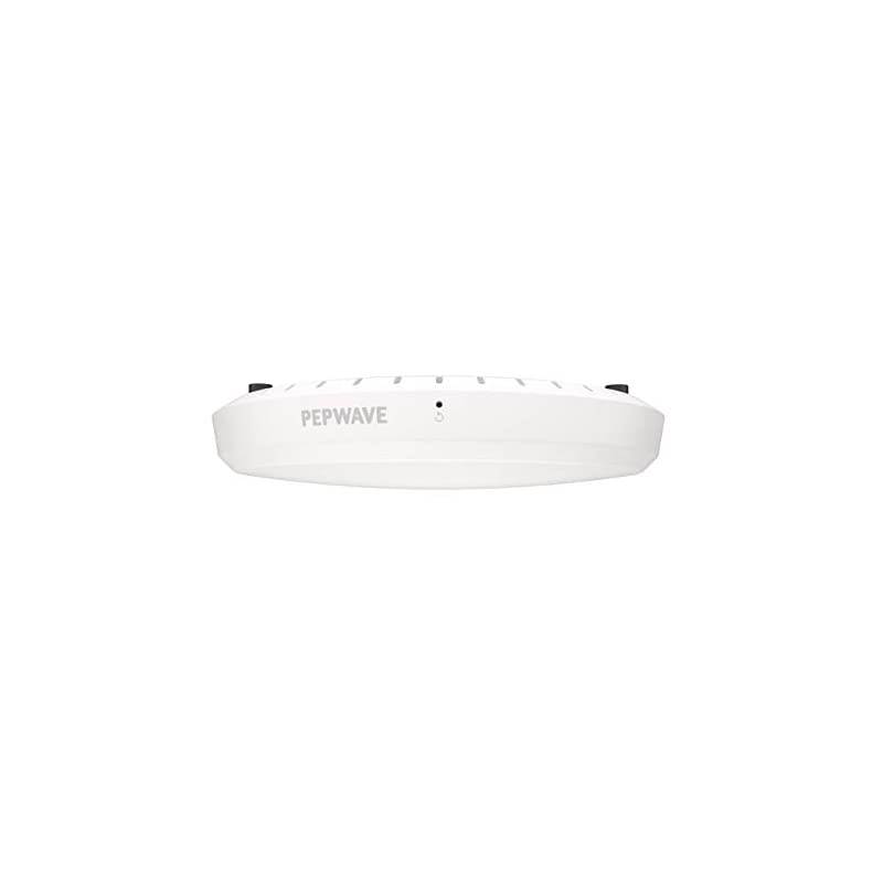 APOENT Pep Wave AP One Enterprise Access Point