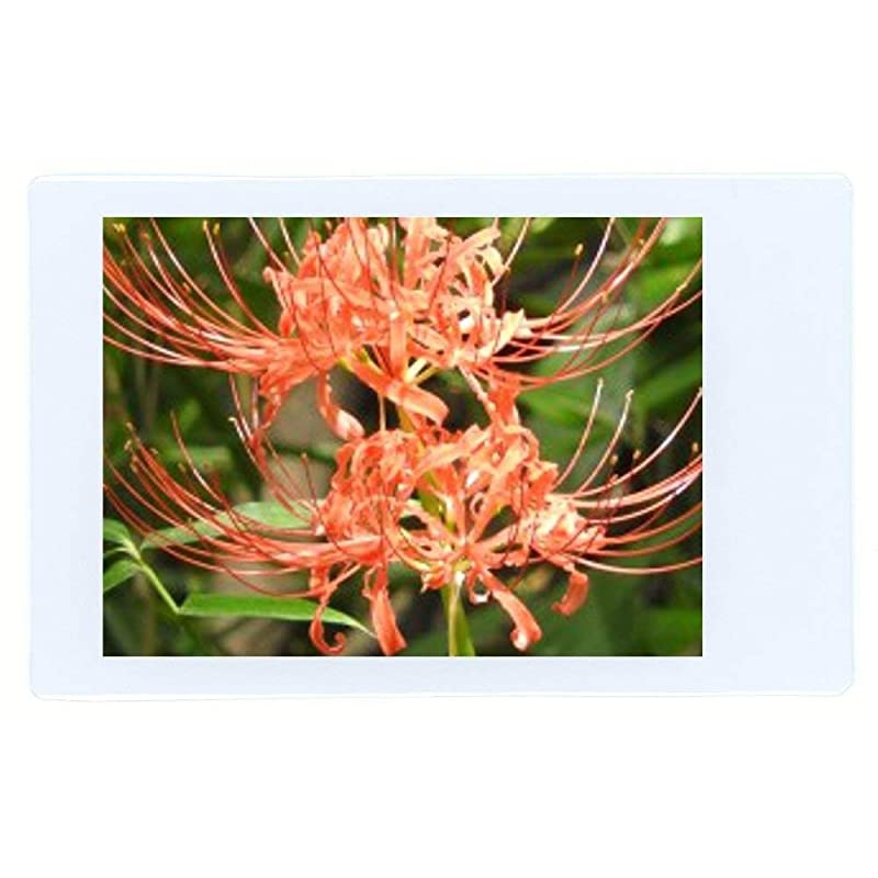 Instax Mini Instant Film (3 Twin Packs, 60 Total Pictures) for Instax Cameras