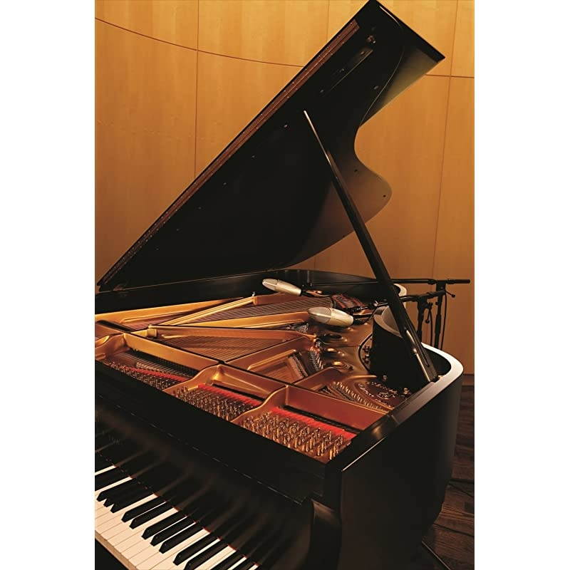 Instrument Condenser Microphone, Champagne (KSM32/SL)