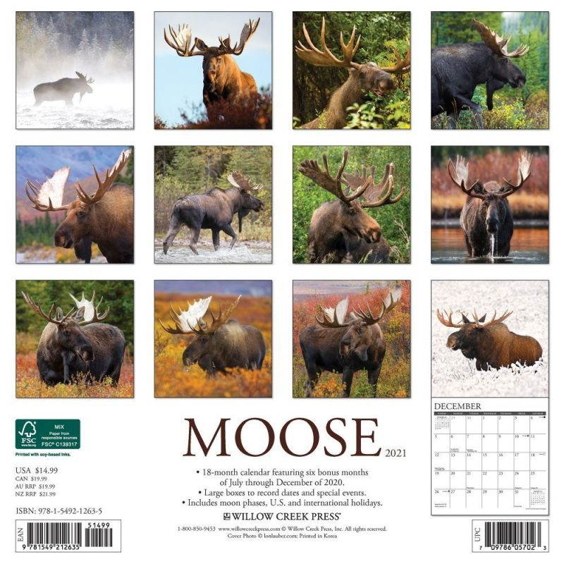 Moose 2021 Wall Calendar