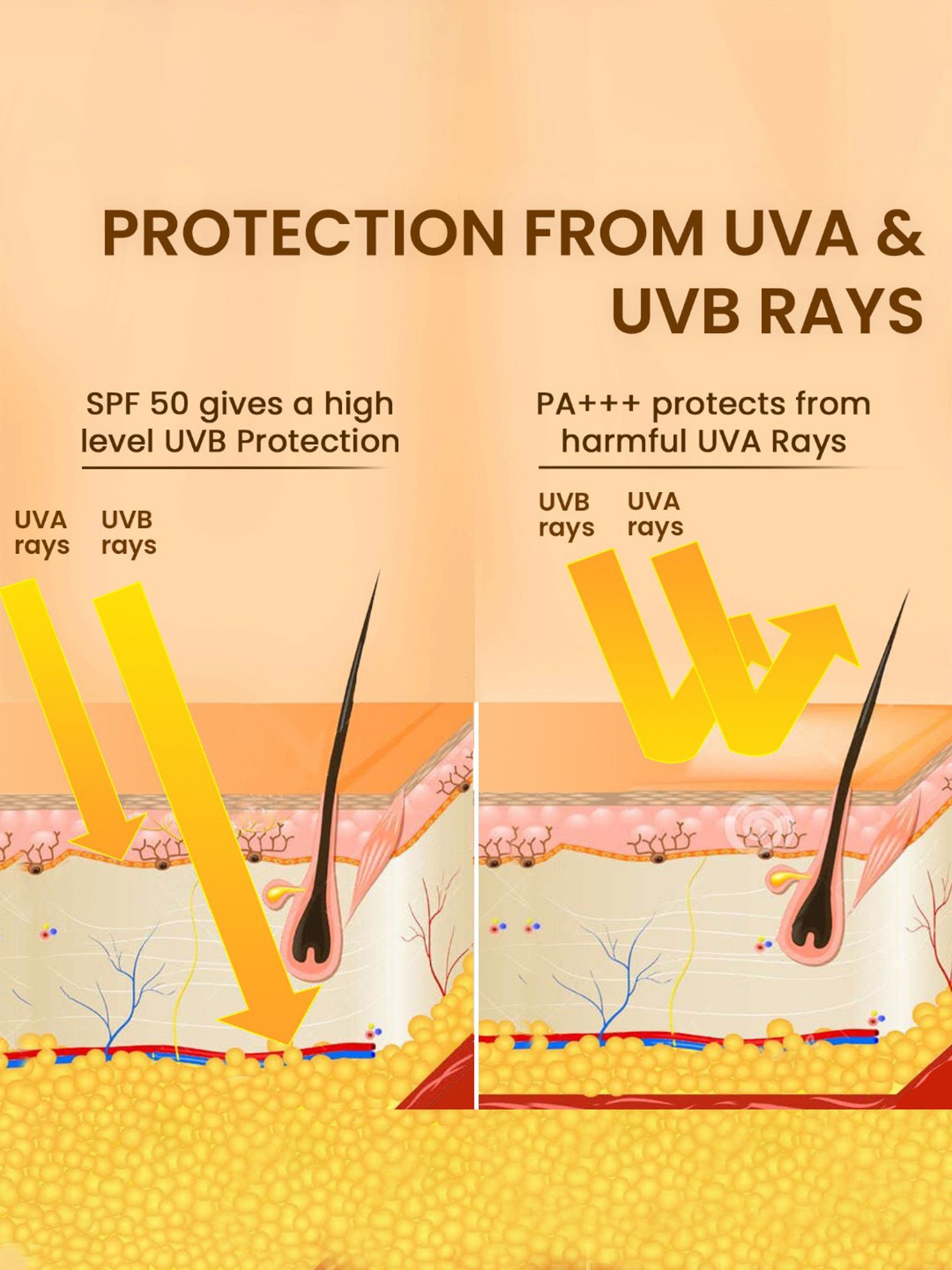 The Skin Story Moringa Water & Sweat Resistant Formula Sunscreen SPF 50 - 40 gm