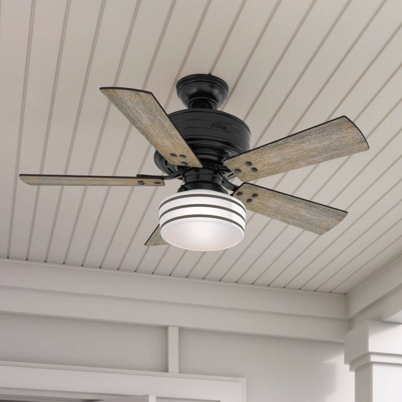 44" Cedar Key Damp Rated Ceiling Fan with Remote Black (Includes LED Light Bulb) - Hunter Fan