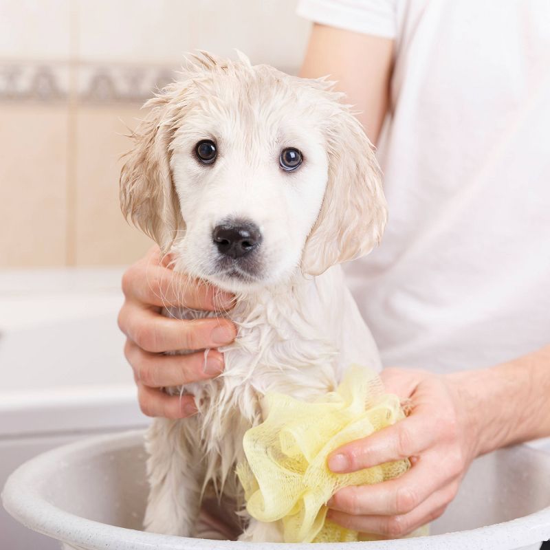 Wahl Puppy Gentle Formula Baby Fresh Shampoo Concentrate - 24oz