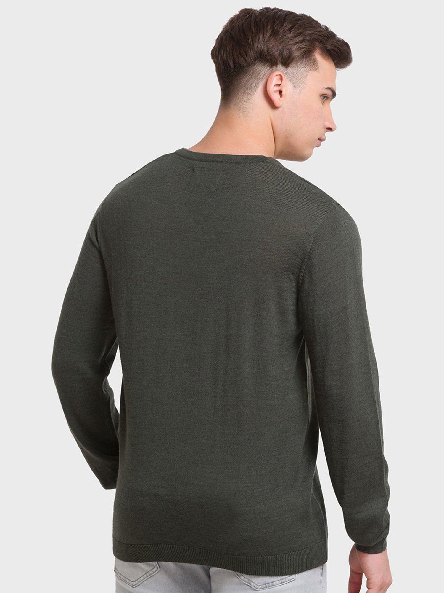 ColorPlus Green Tailored Fit Sweaters