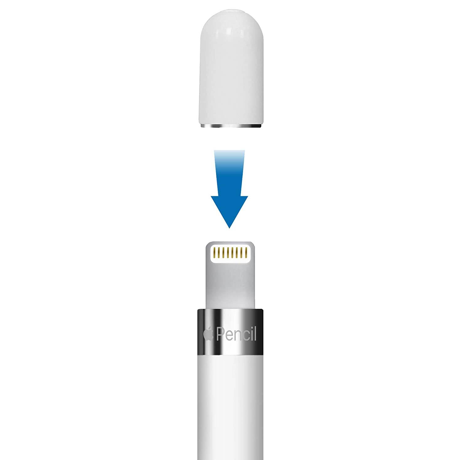 TechMatte Magnetic Replacement Cap for Apple Pencil (with Cap Holder) (Updated Version)
