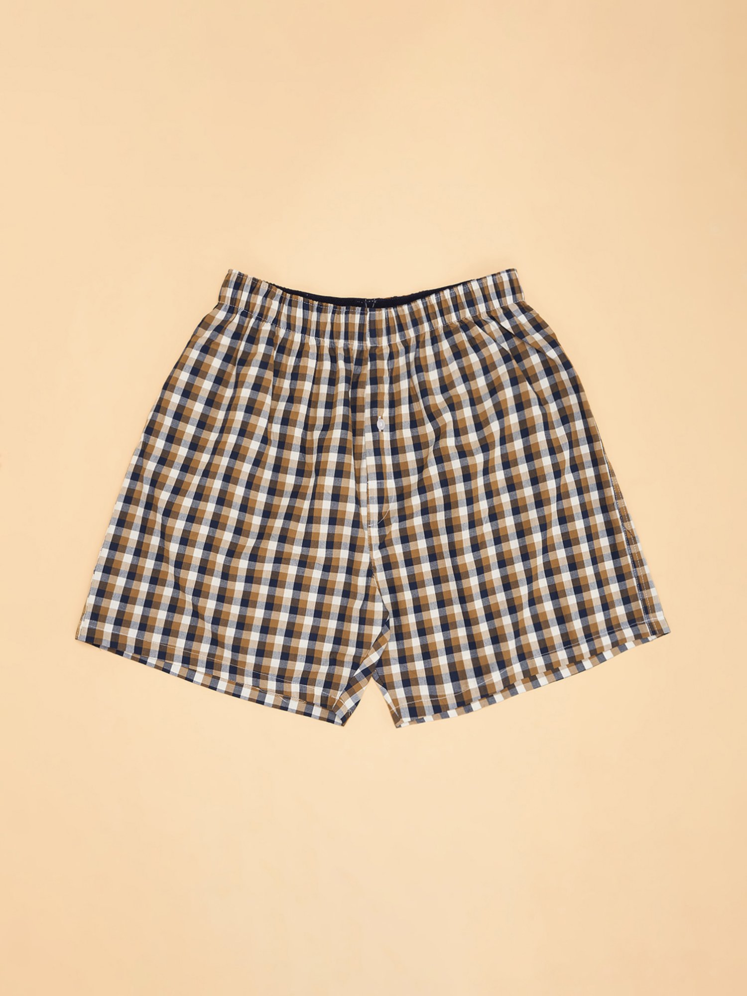 Ajile by Pantaloons Multicoloured Cotton Regular Fit Stripes Boxers