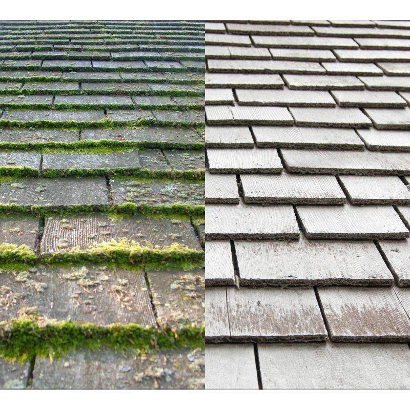 BISSELL 22 floz Oxy Stain Destroyer Pet For Carpet and Upholstery