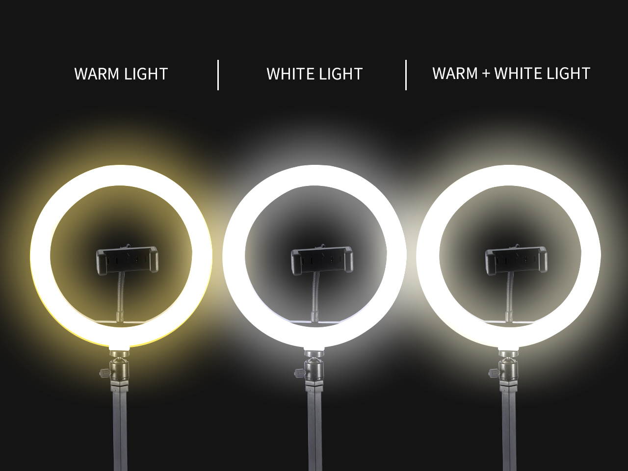 Dynex 5-Watt 1Amp Coiled Car Charger with Apple Lightning Connector - Black