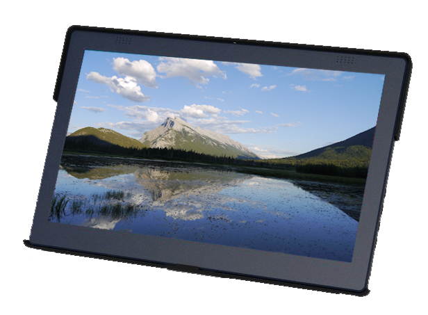 GeChic 1101P 11.6" 1080p Field Monitor