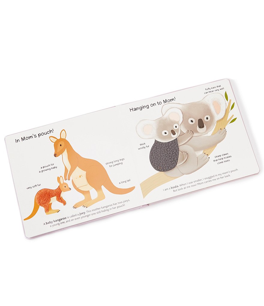 Chronicle Books Touch And Explore: Animals