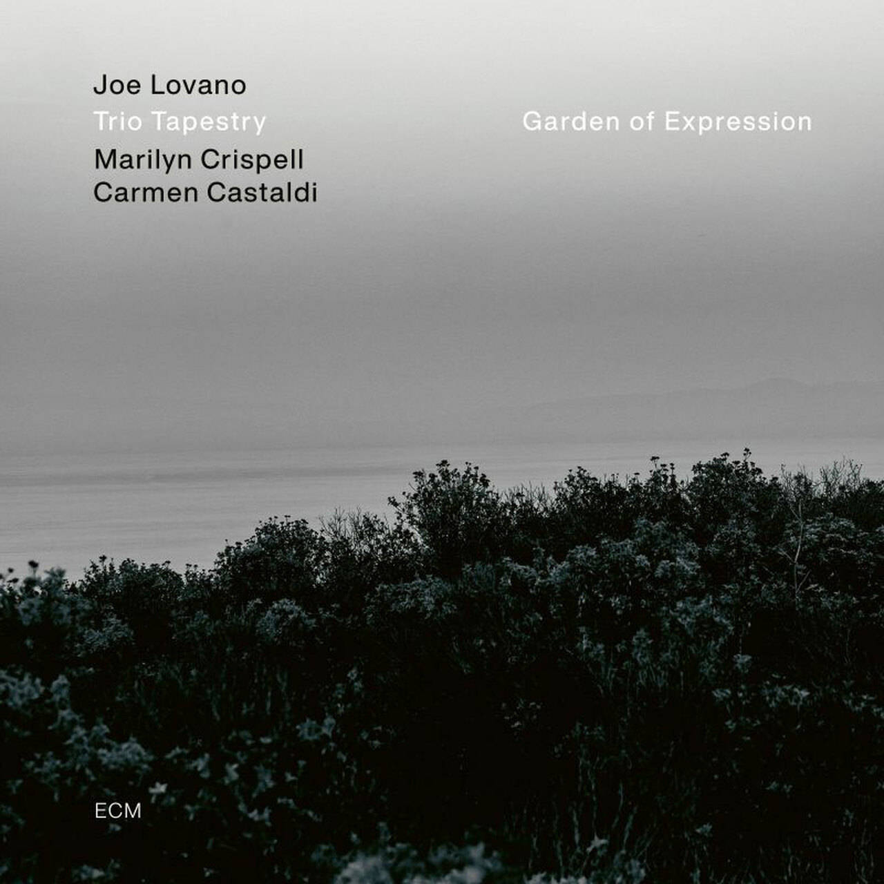 Joe Lovano, Marilyn Crispell & Carmen Castaldi Trio Tapestry: Garden Of Expression LP (Vinyl)