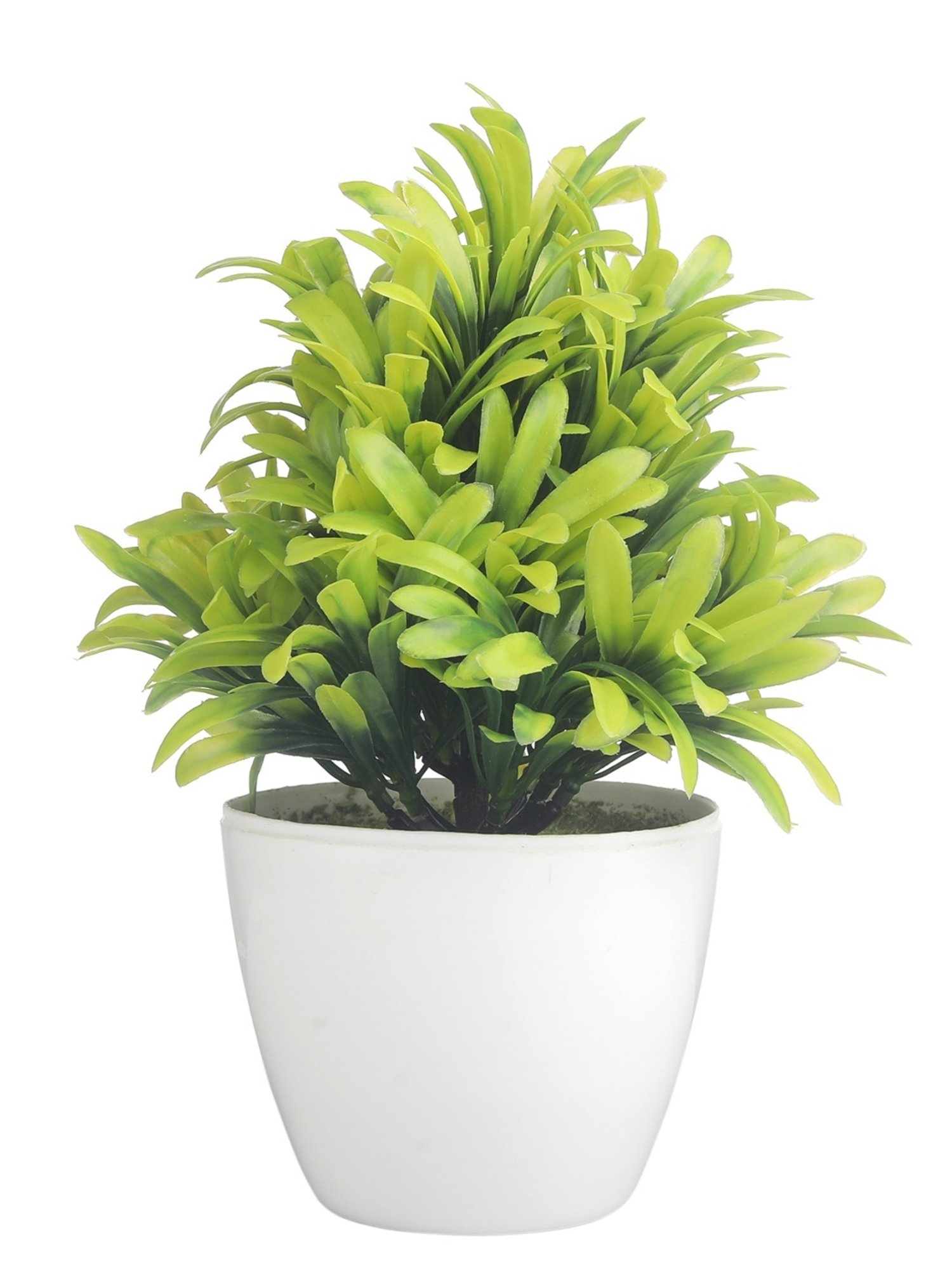 Mason Home Multi Traditional Motif Toran