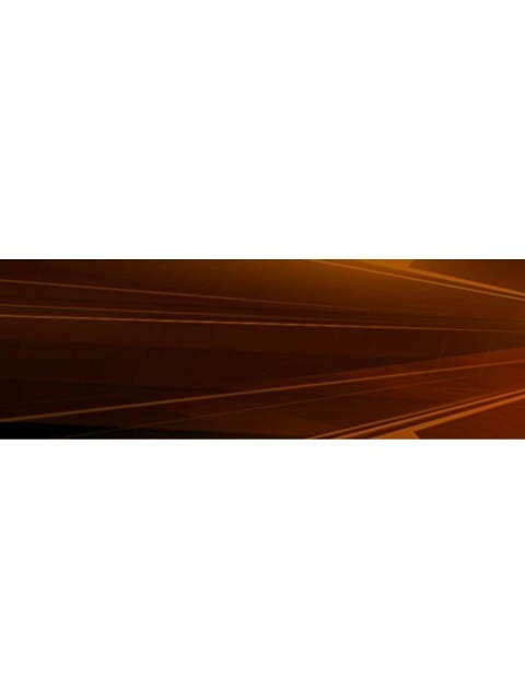 Universal Home and car charging Set Nintendo DS, New 3DS XL, 3DS, 3DS XL, DSi & DSi XL, DS Lite and PSP