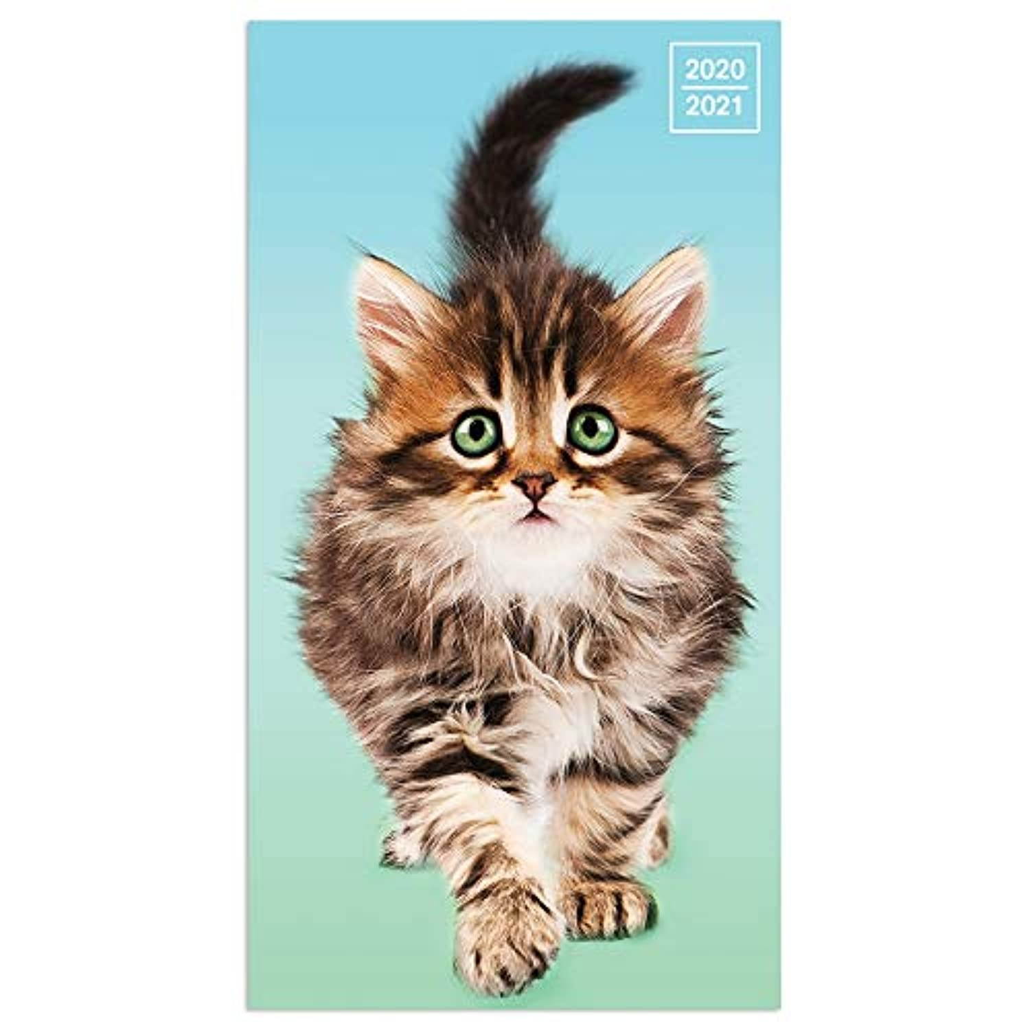 2020-2021 Kittens 2-Year Small Monthly Planner