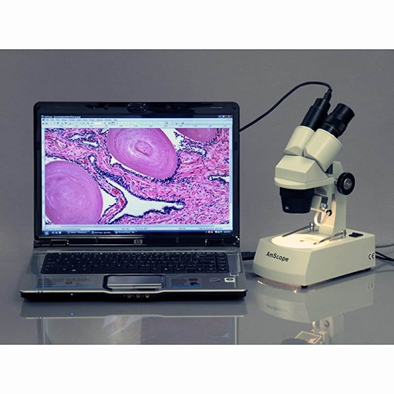 SE306-AZ-E2 Digital Binocular Stereo Microscope, WF10x and WF20x Eyepieces, 20X/40X/80X Magnification, 2X and 4X Objectives, Upper and Lower Halogen Lighting, Reversible Black/White Stage Plate, Arm