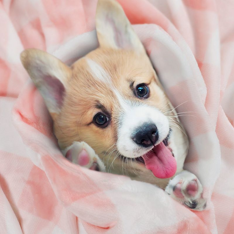 1 Pc Full Microfiber Plush Flannel Bed Blankets Pink and White  - PiccoCasa