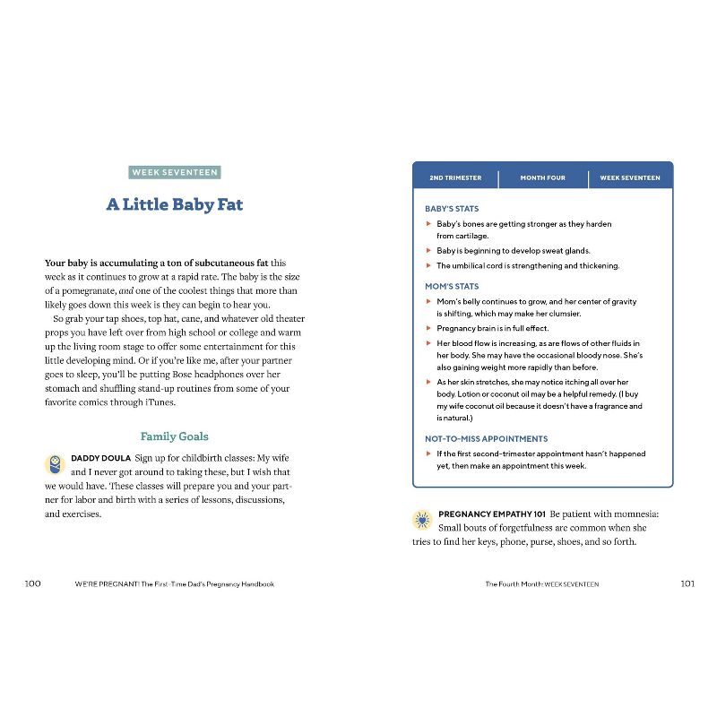 We're Pregnant! the First Time Dad's Pregnancy Handbook - by Adrian Kulp (Paperback)