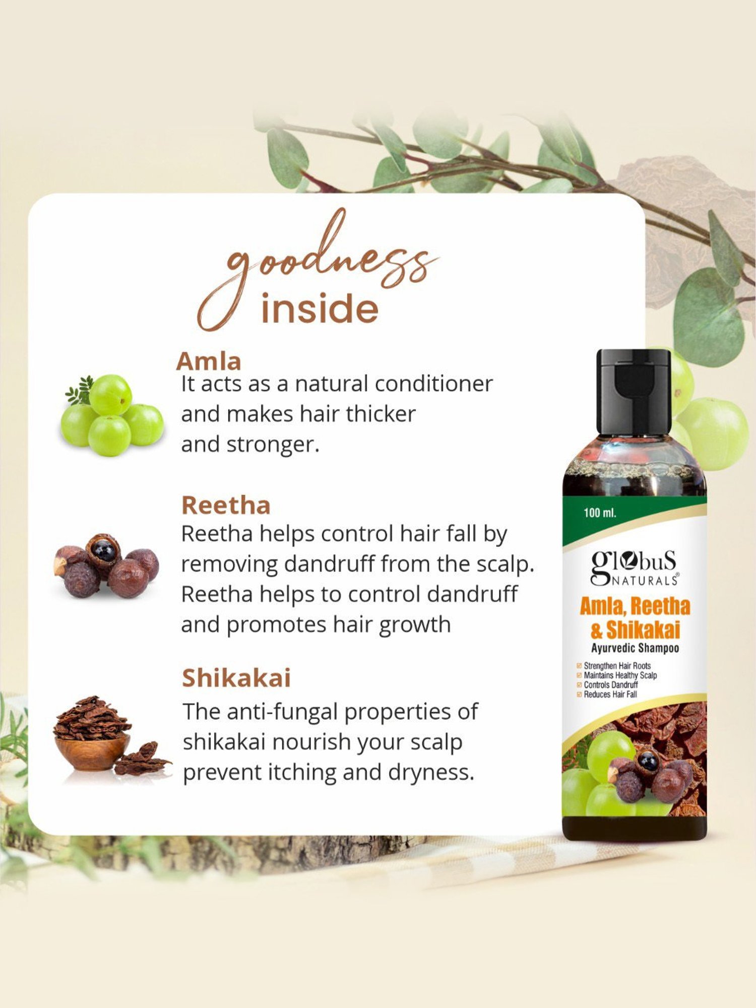 Globus Naturals Amla, Reetha & Shikakai Ayurvedic Shampoo - Pack of 2