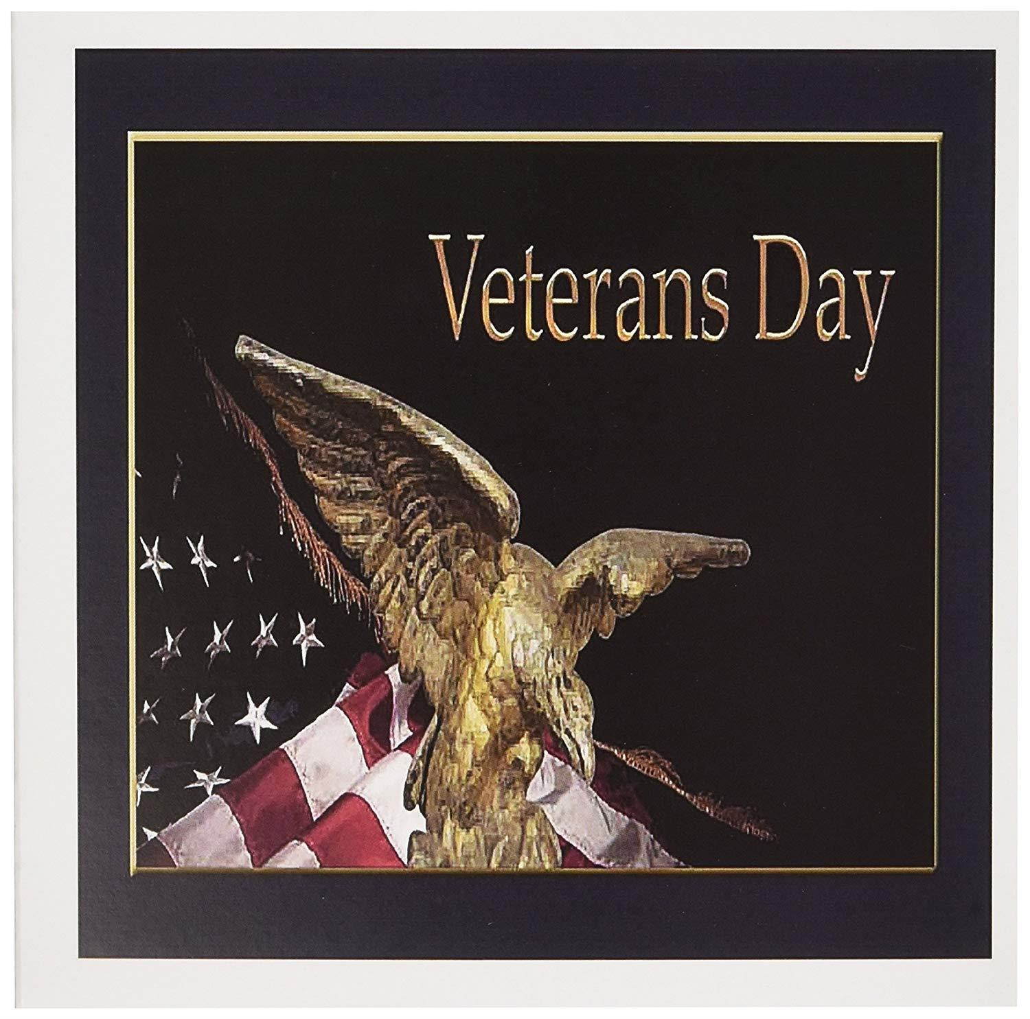 3dRose Greeting Cards, Veterans Day, Soaring Eagle with American Flag, Set of 6 (gc_12181_1)
