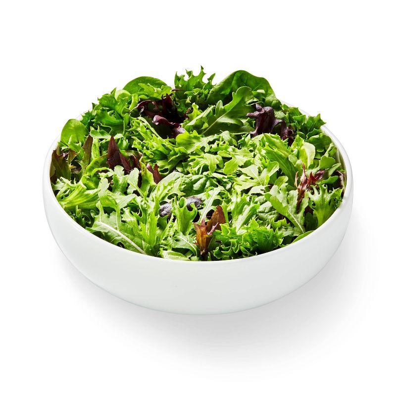 Organic Spring Mix Lettuce - 5oz - Good & Gather™