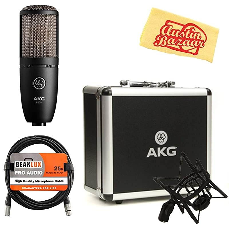 P220 High-Performance Vocal Condenser Microphone Bundle with XLR Cable and Zorro Polishing Cloth