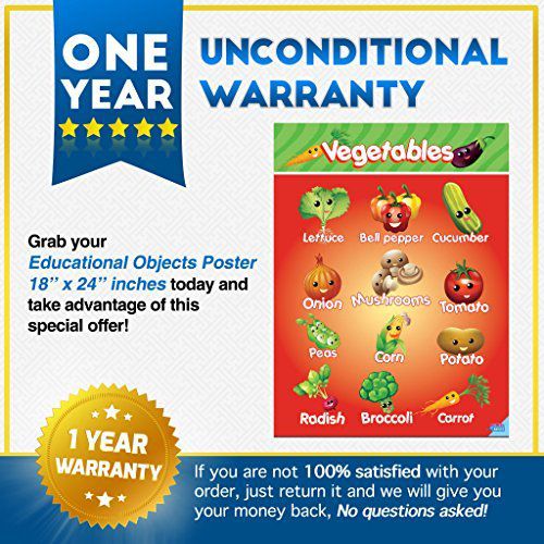 Educational Preschool Posters for Toddlers and Kids Perfect for Children Preschool & Kindergarten Classrooms Teach Body Parts, Family, Food, Fruits, Manners, Clothing, Vegetables and More!