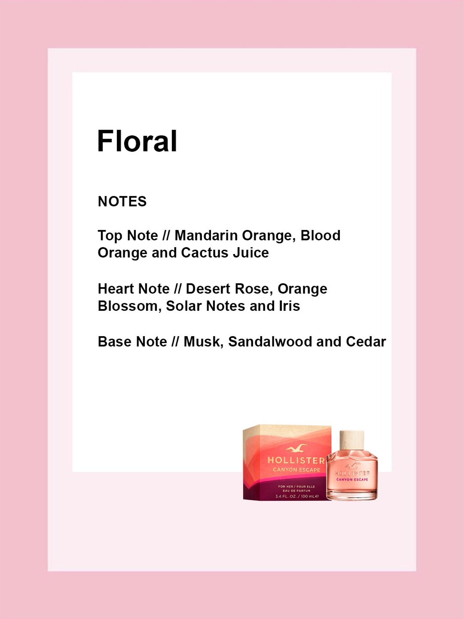 Hollister Canyon Escape Eau de Parfum for Women - 100 ml