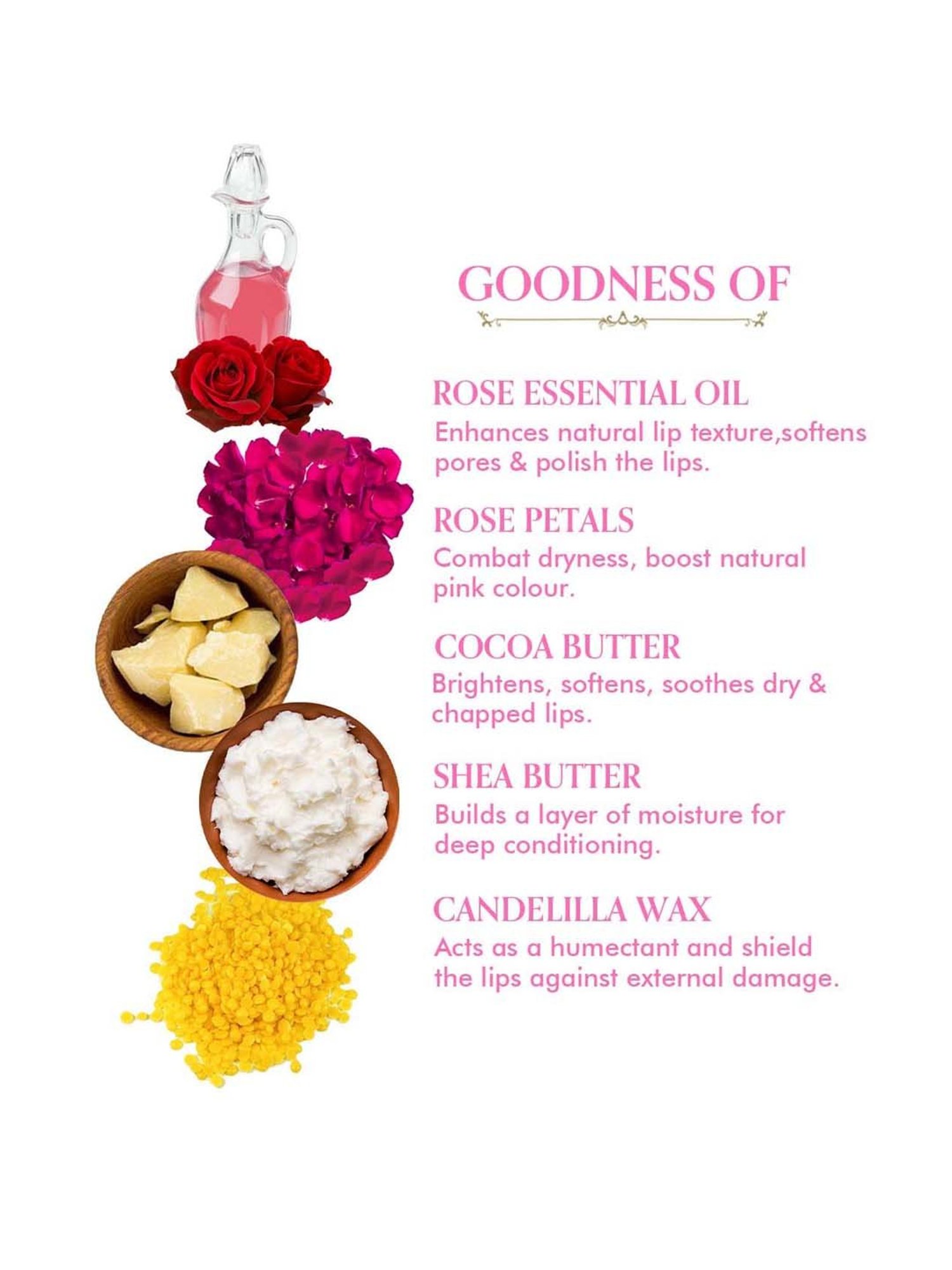 TAC - The Ayurveda Co. Indian Rose Lip Butter - 5 gm