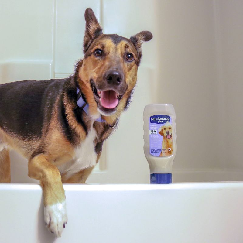PetArmor Plus Shampoo for Dogs