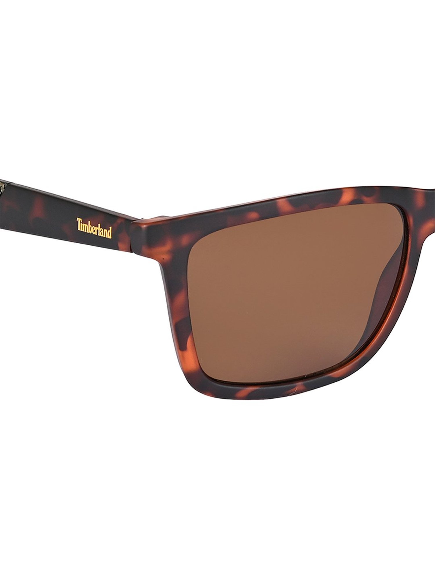 Timberland Brown Square UV Protection Sunglasses for Men