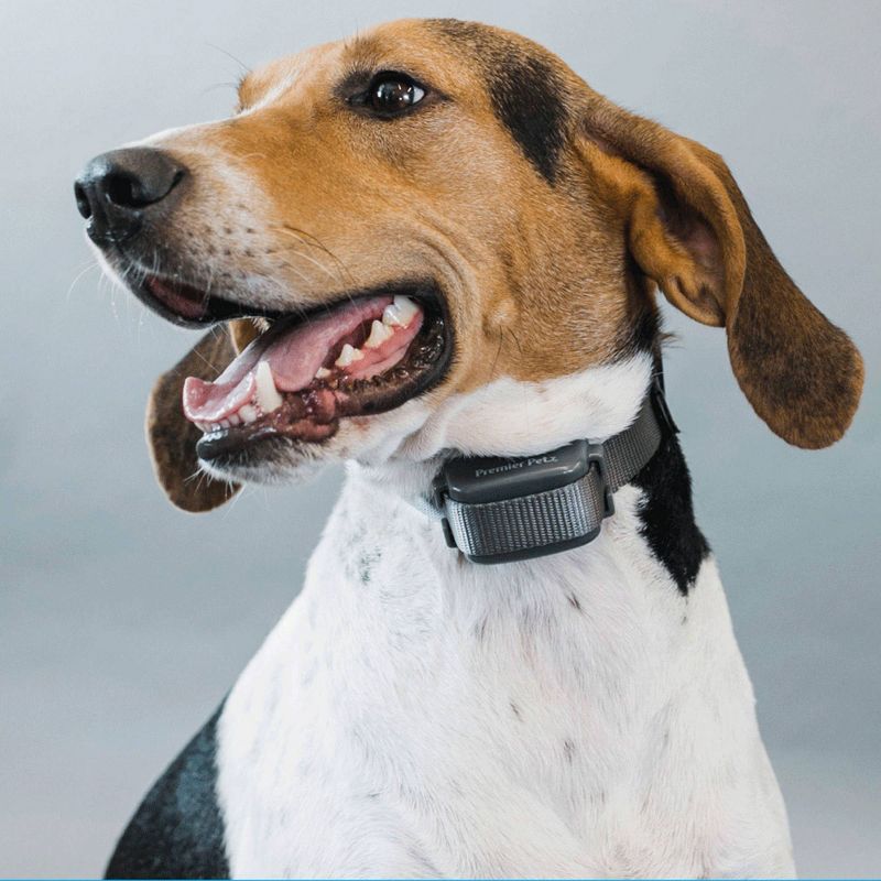 Premier Pet Bark Collar - Black