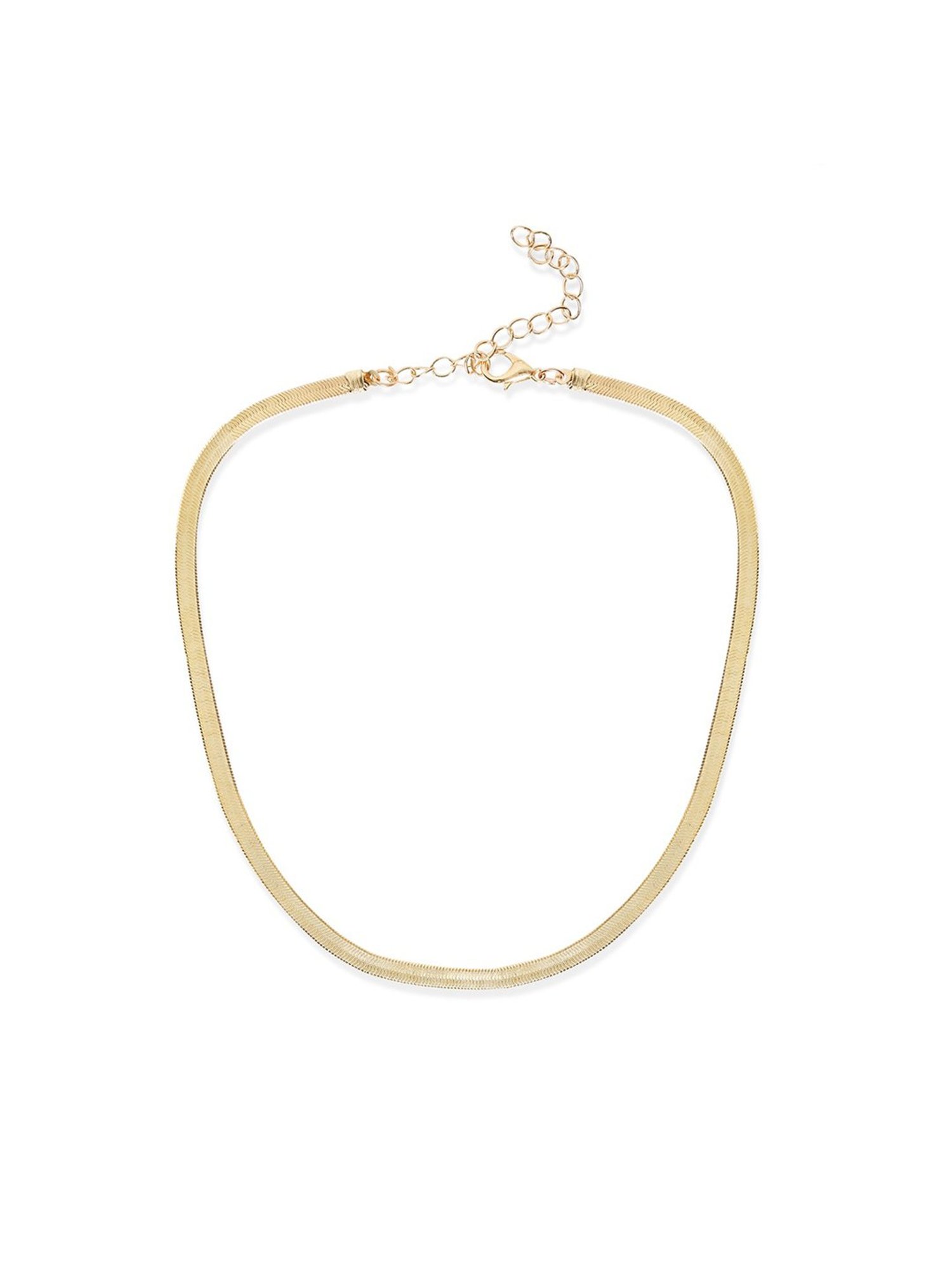 Oomph Gold Snake Chain & Lariat Necklace - Set of 2