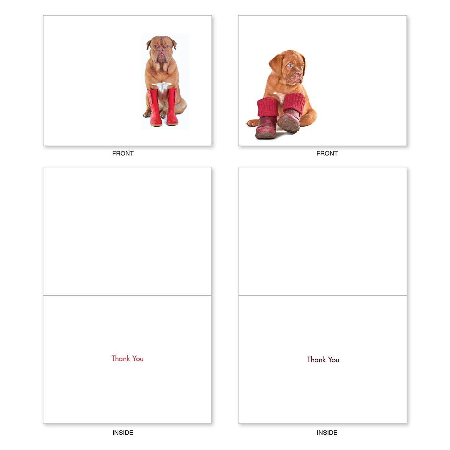 10 Adorable Puppy Thank You Note Cards with Envelopes (4" x 5 &frac14;") All-Occasion &lsquo;These Boots Are Made for Puppies&rsquo; - Boxed Dog Stationery Notecard Set #M2980TYG