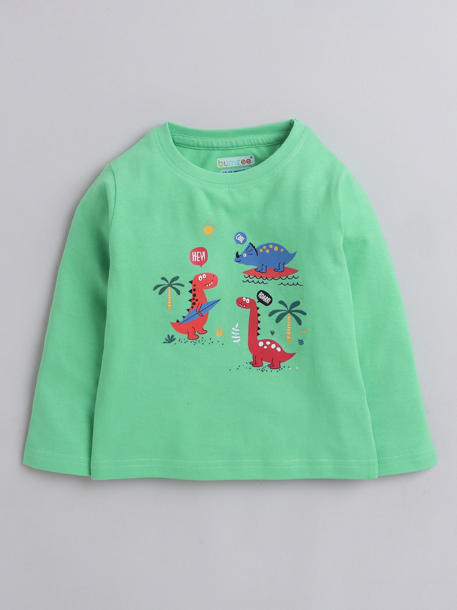 Bumzee Kids Navy & Green Printed Full Sleeves T-Shirt (Pack Of 2)