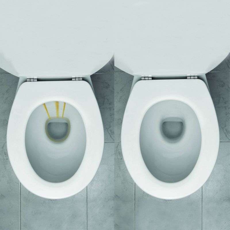 Whink Rust Stain Remover Foaming Spray - 24 fl oz