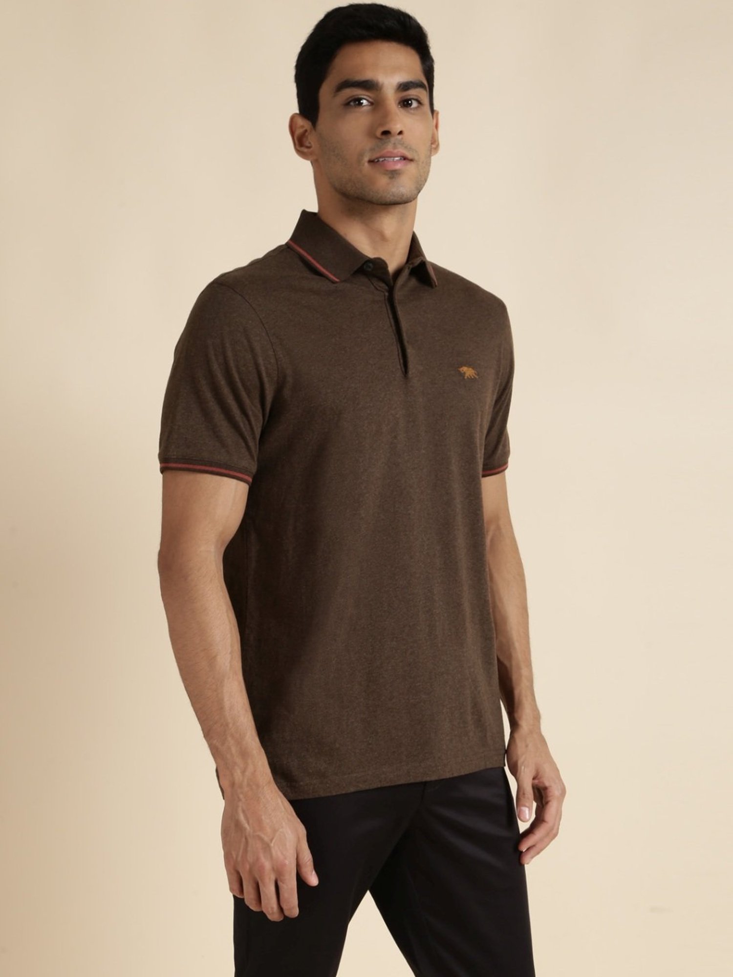 Andamen Brown Regular Fit Polo T-Shirt